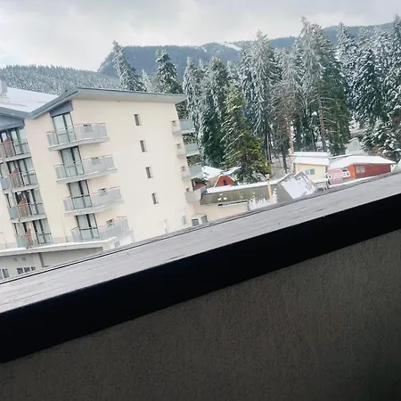 Snow Forest * Borovets