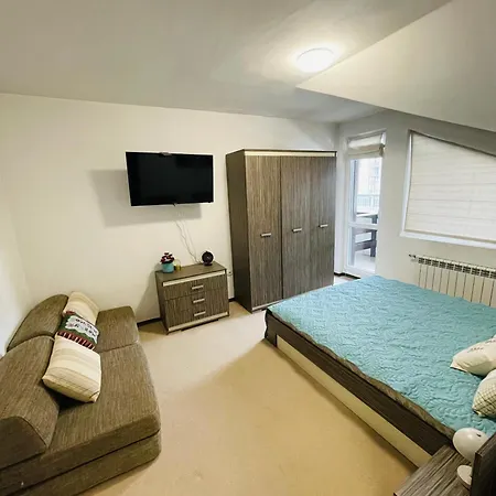 Snow Forest Boroveț