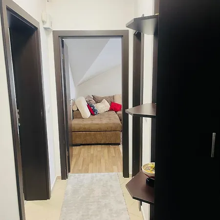 Snow Forest Apartament Boroveț