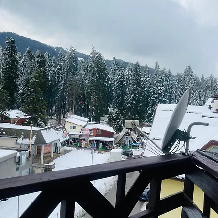 Snow Forest * Boroveț