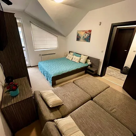 Snow Forest Apartament Boroveț