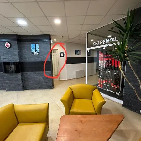 Snow Forest Borovets