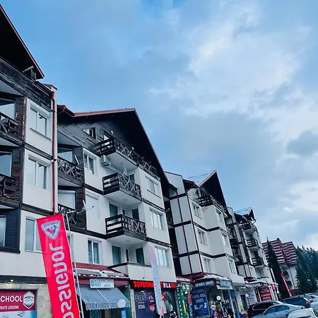 Snow Forest * Borovets