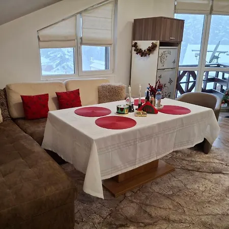 Apartament Snow Forest Boroveț