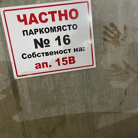 Snow Forest * Borovets