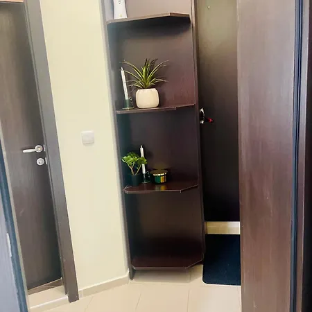 Snow Forest * Boroveț