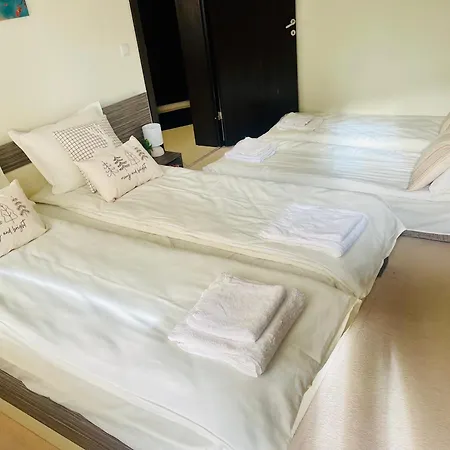 Apartament Snow Forest Boroveț