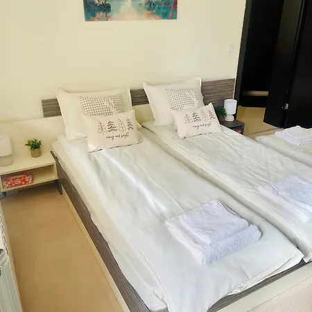 Snow Forest Boroveț