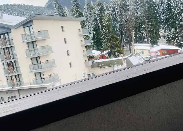 Snow Forest * Боровец