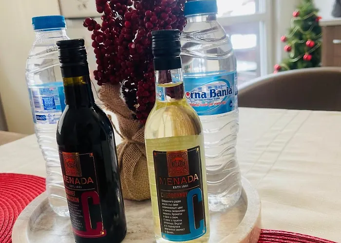 Snow Forest * بوروفتس