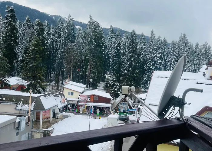 Snow Forest * بوروفتس