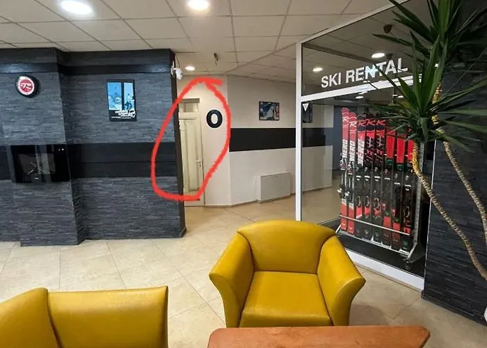 Snow Forest بوروفتس