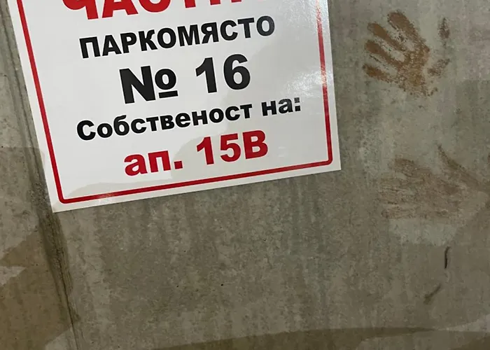 Snow Forest * بوروفتس