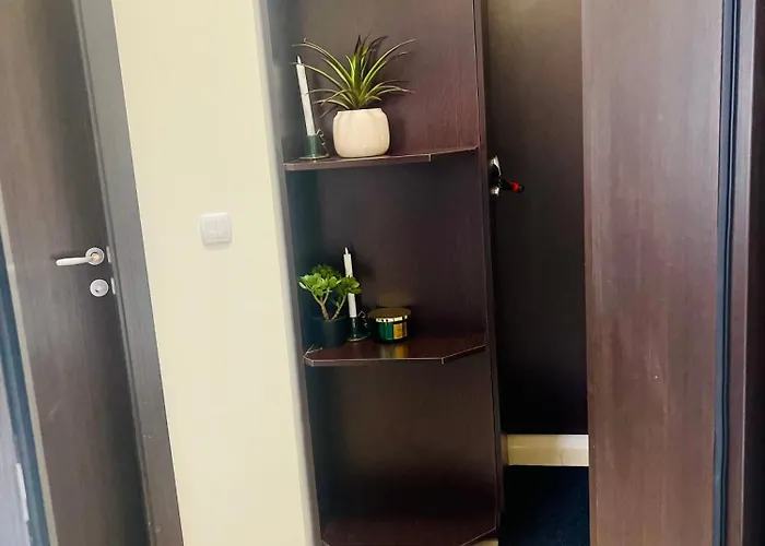 Snow Forest * بوروفتس